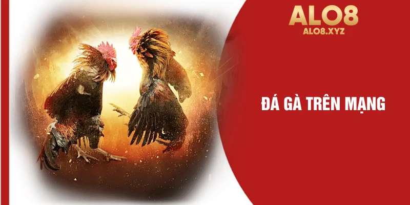 Đá gà trên mạng